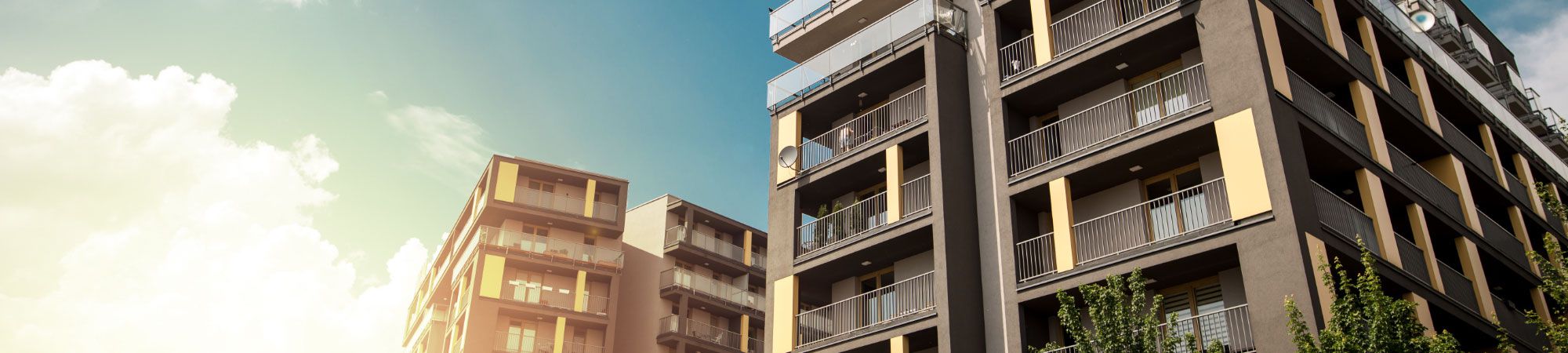 Con Inmobiliaria Alquilo&más encontrará la vivienda que está buscando. alquilo&mas en Madrid